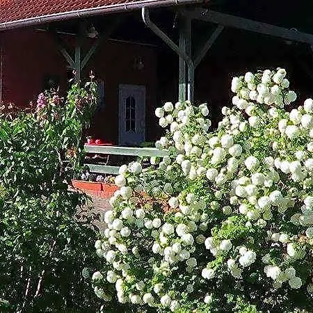 Szálloda Marianne Und Restaurant Kiek In 3*