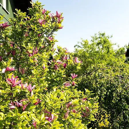 Marianne Und Restaurant Kiek In