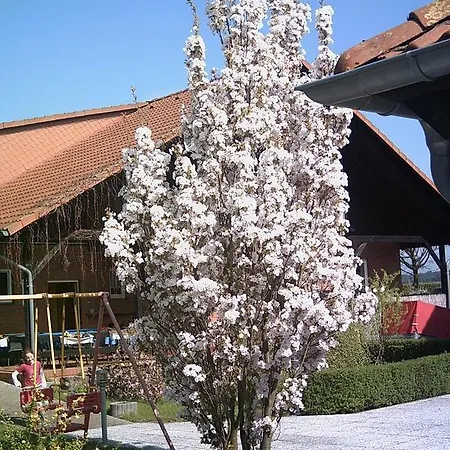 Hotel Marianne Und Restaurant Kiek In